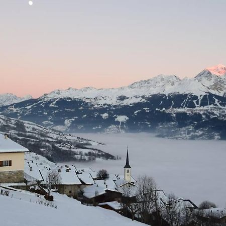 Studio Cosy Vallee De Tarentaise La Plagne Εξωτερικό φωτογραφία
